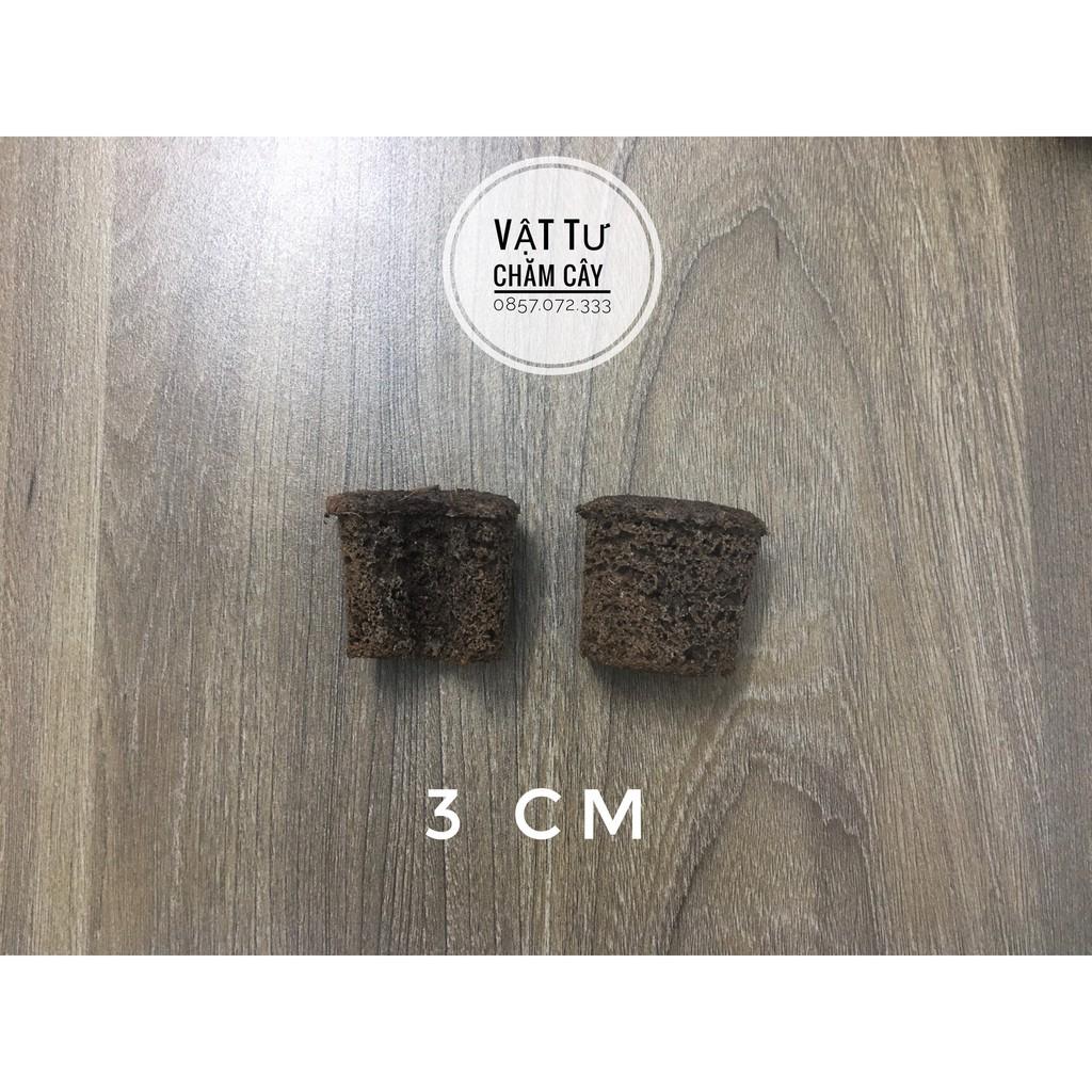 Mút Hữu Cơ Ươm Kie - Tạo Độ Ẩm - Kích Rễ Lan