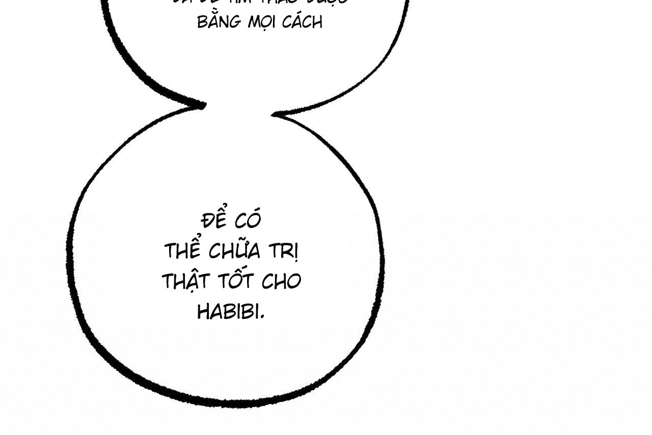 những chú thỏ của hapypy chapter 61 57