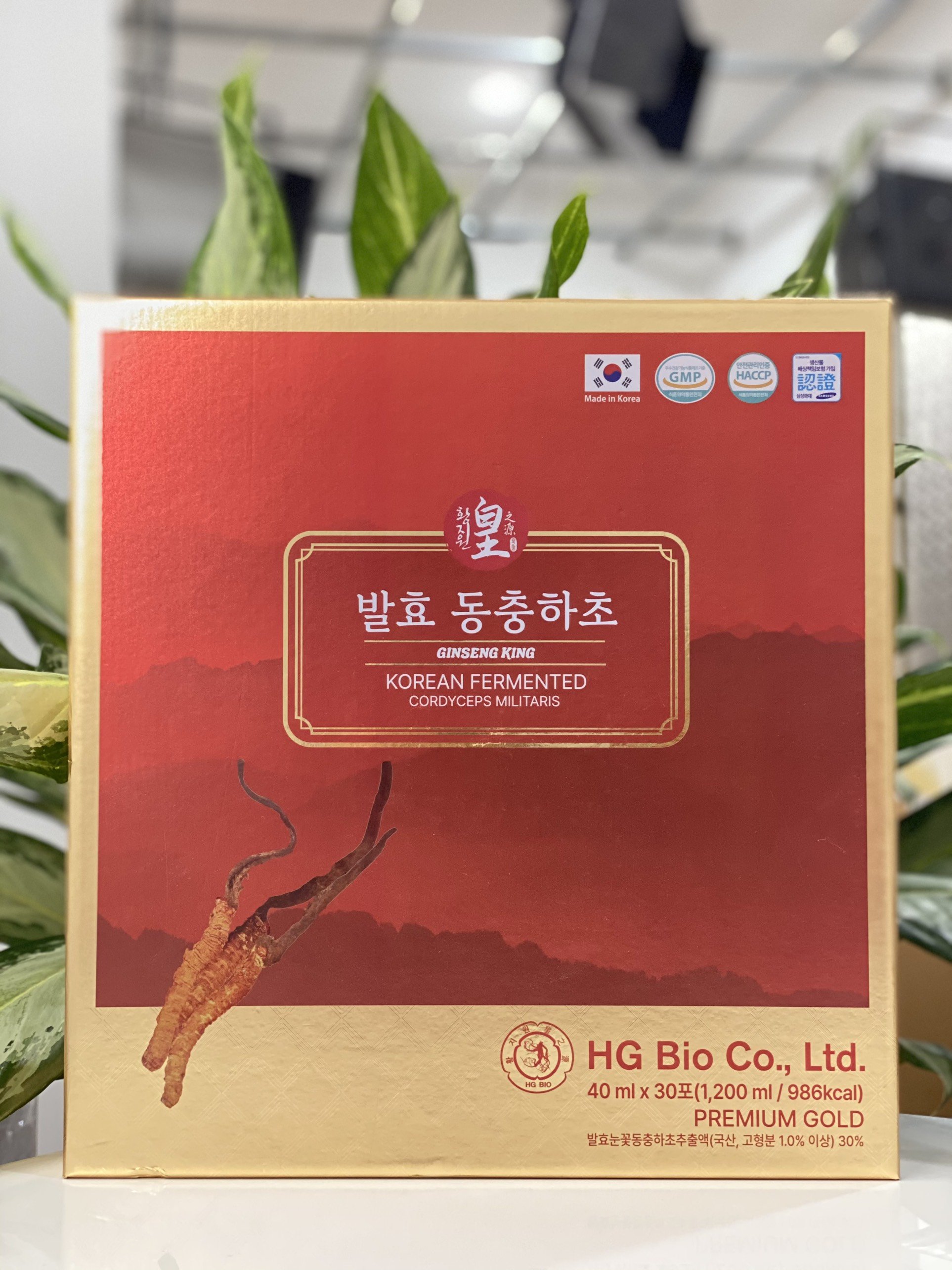 Hộp tinh chất đông trùng hạ thảo Hàn Quốc korean fermented hg bio co