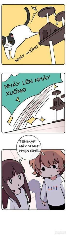 hello dư tuyết đặc chapter 2 7