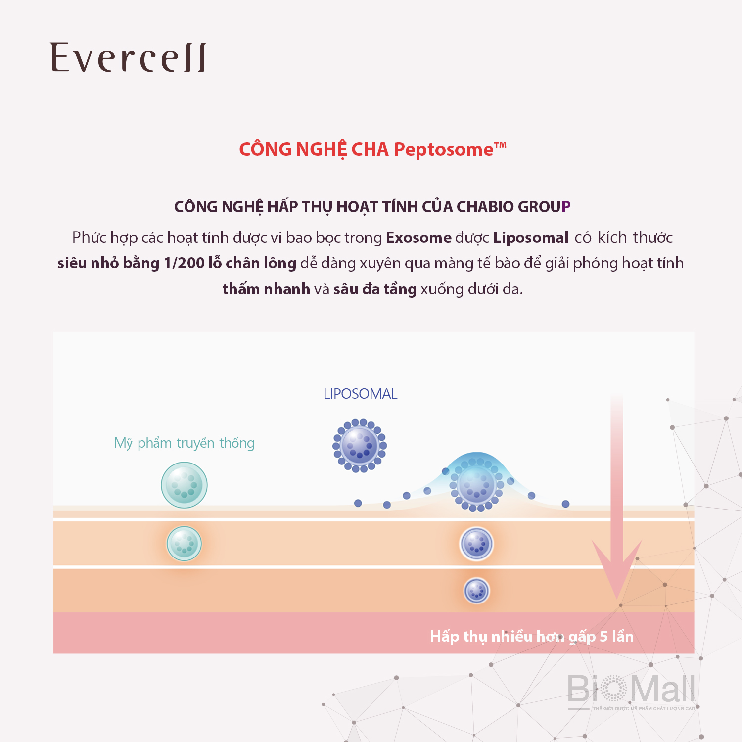 Kem Nâng cơ Đàn hồi Săn chắc Trắng sáng da Công nghệ Tế bào gốc EVERCELL Radiance Lifting Cream 25ml