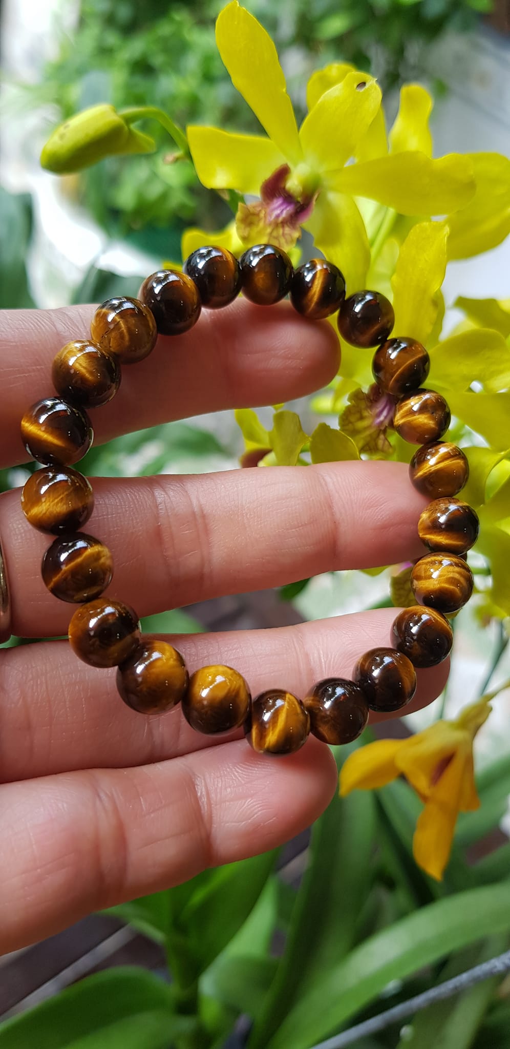 Vòng tay phong thuỷ may mắn nữ đá mắt hổ tự nhiên vàng nâu bóng mượt đẹp Size nữ vòng hạt 8mm Vòng hợp nữ mệnh kim mệnh thổ mệnh Thủy đeo tay đẹp ạ