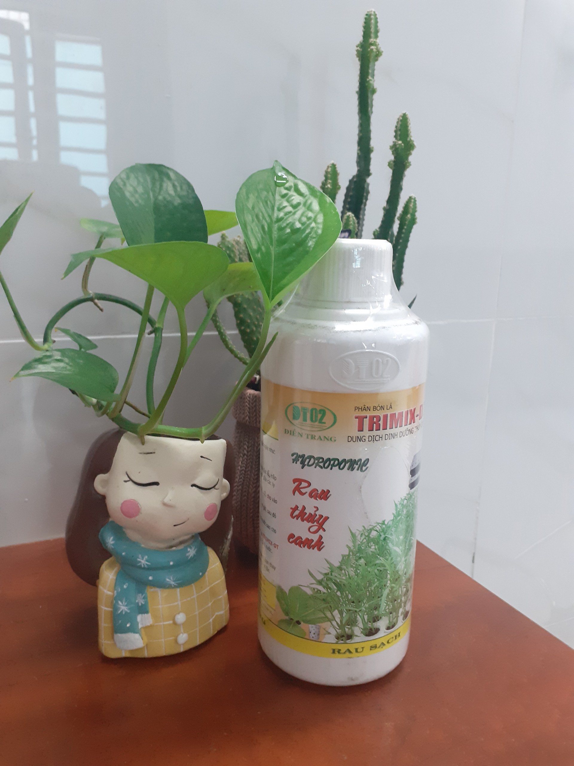 *** Rau Thủy canh trimix dt – chai 500ml ***