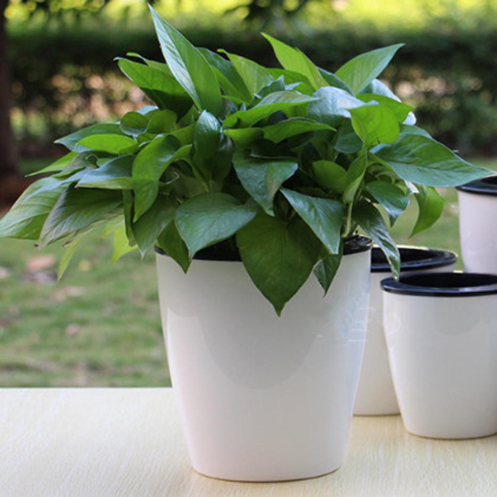 -watering Plant Flower Pot Garden  Planter Decor