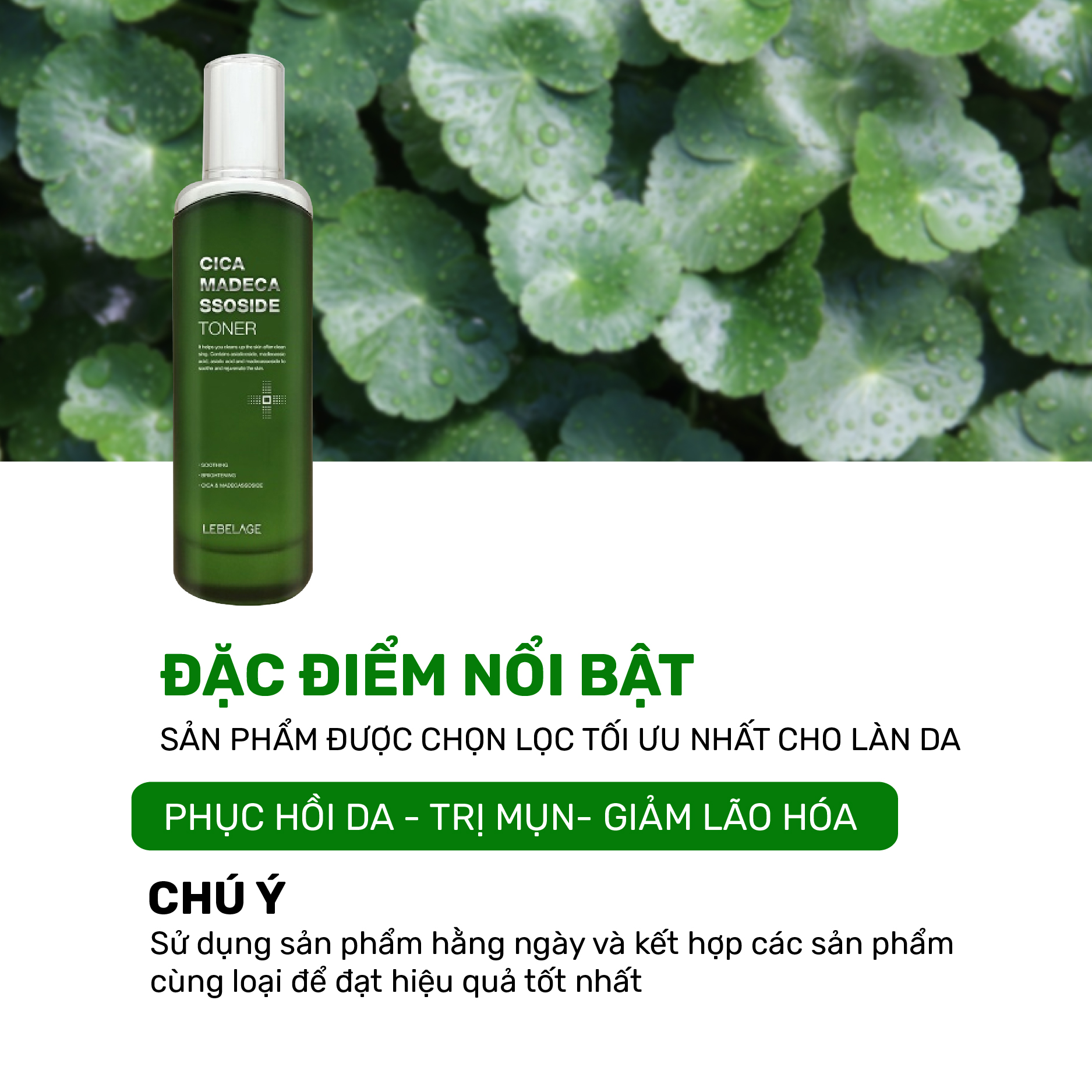 [02.2026] Nước Cân Bằng Da Rau Má Làm Dịu, Hỗ Trọ Giảm Mụn Căng Bóng Da Lebelage Cica Madecassoside Toner 120ml