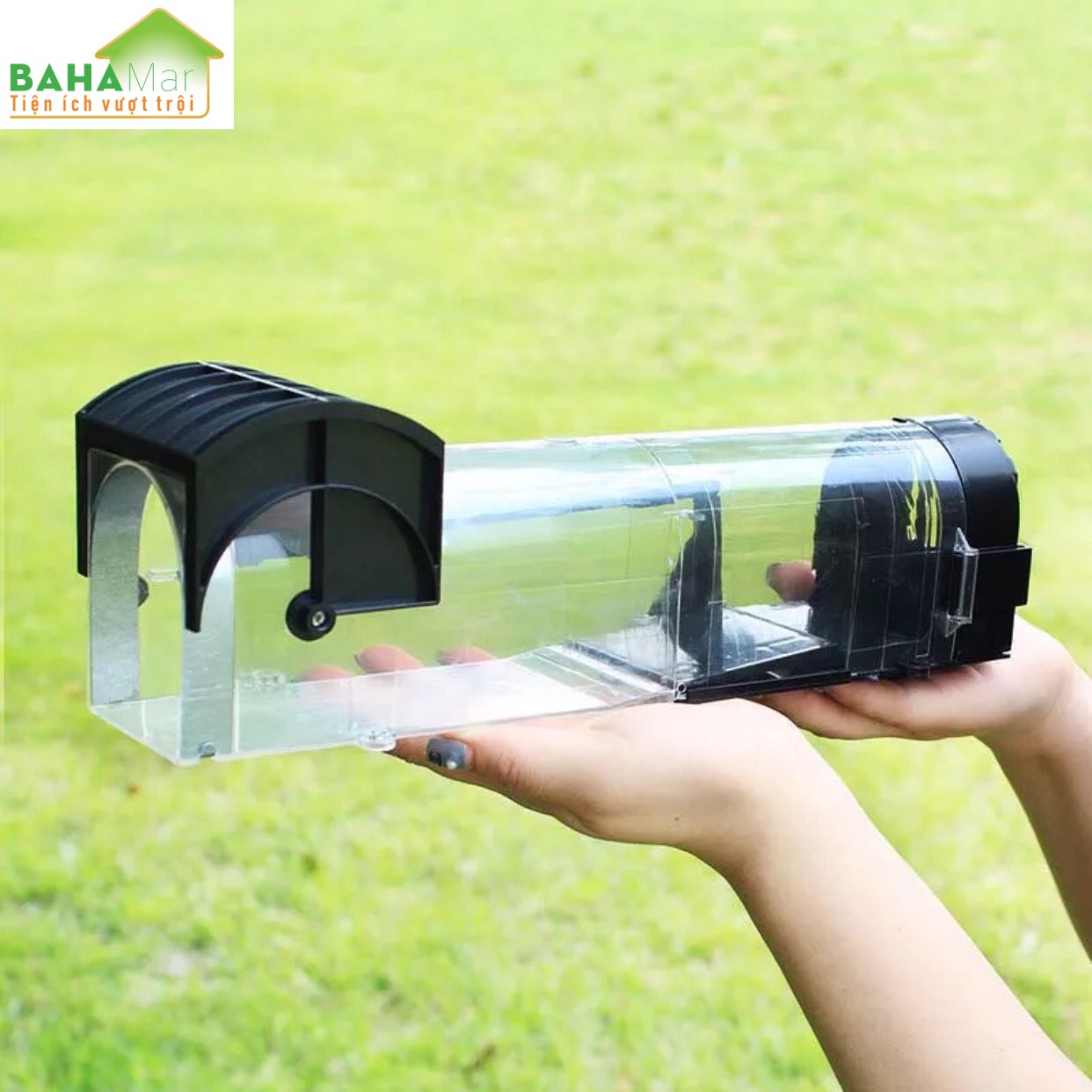 BẪY CHUỘT THÔNG MINH NHÂN ĐẠO TỰ ĐỘNG KHÓA "BAHAMAR" dụ chuột vào và khóa lại để chuột không thoát ra được và yếu dần