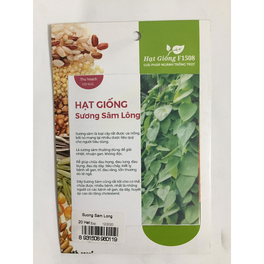 Hạt Giống Sương Sâm Lông