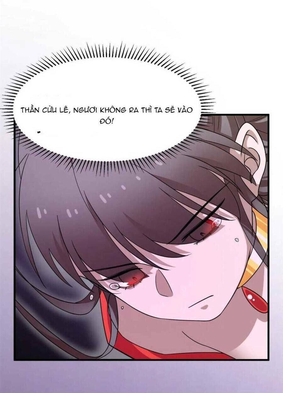 độc bộ thiên hạ: đặc công thần y chapter 419 3