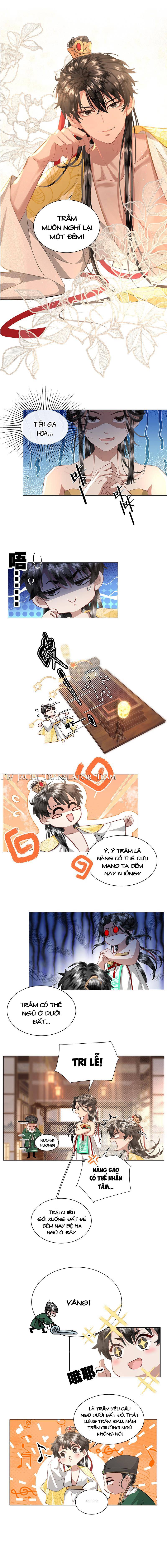 bẩm bạo quân, quý phi nói nàng là tổ tông của người! chapter 8 1