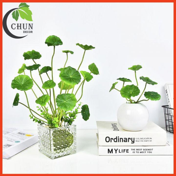 Cây giả - Cây rau má nhựa trang trí bể cá, tiểu cảnh