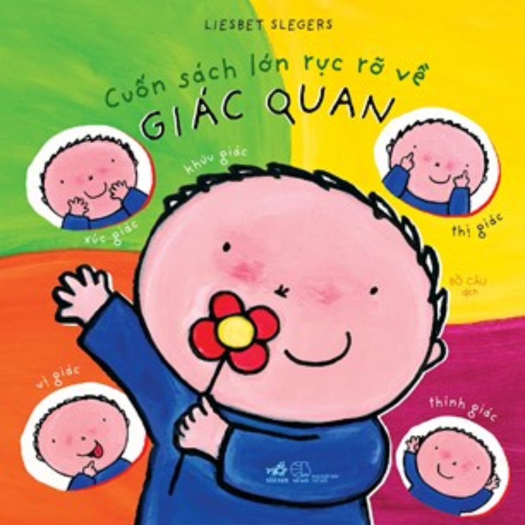Trọn bộ: Cuốn Sách Lớn Rực Rỡ
