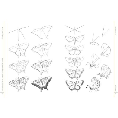 Draw Like An Artist: 100 Birds, Butterflies, And Other Insects