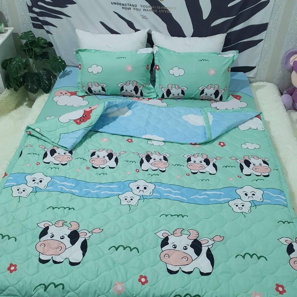 Bộ ga gối cotton giá rẻ 180x200x10cm màu xanh họa tiết bò sữa