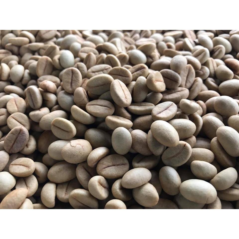 500 GRAM HẠT GIỐNG CÀ PHÊ TR4 CAO SẢN .