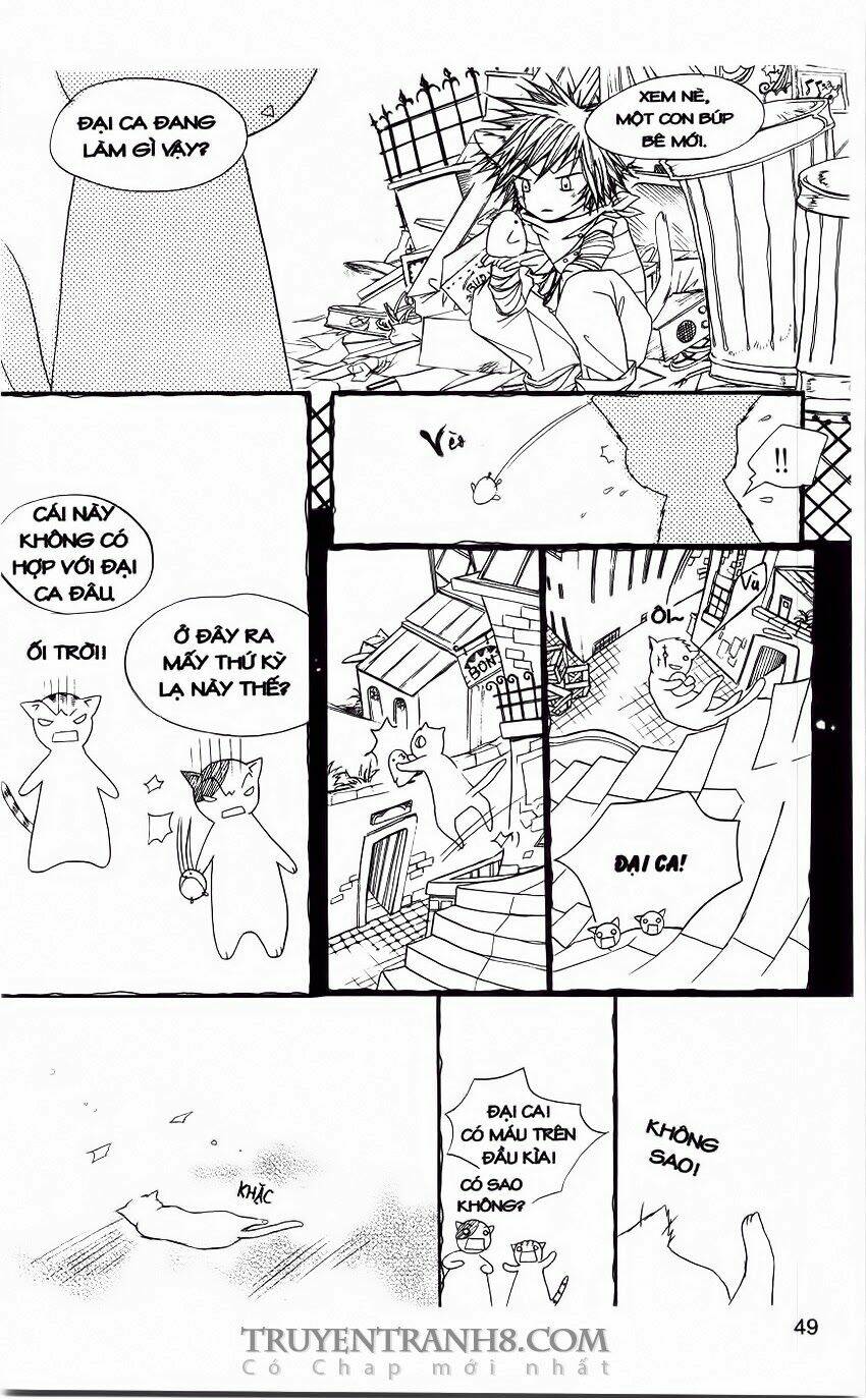 những ngày tươi đẹp chapter 11 9