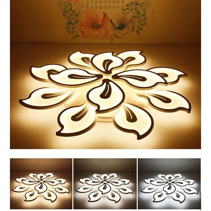 Đèn Trần Mẫu TT20- đèn LED chiếu sáng Ốp Trần- Đèn Trần tô điểm thiết kế bên trong Hiện Đại.