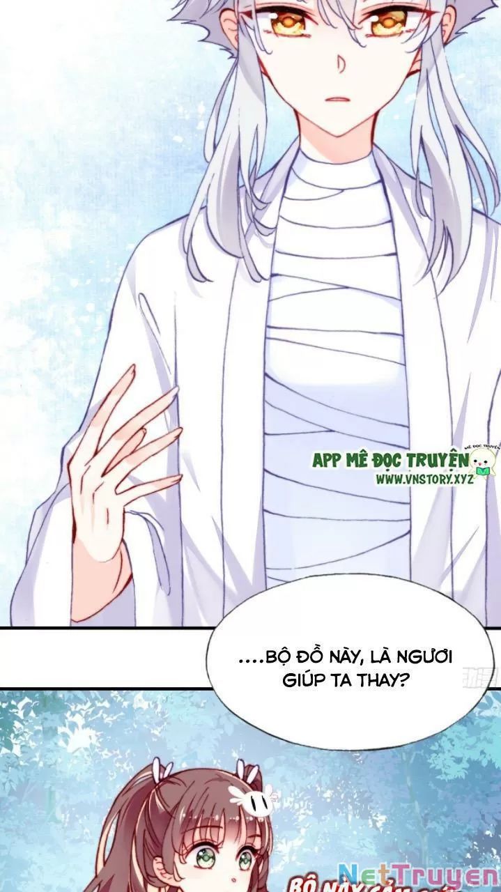 lại bị bệnh chiều chuộng quấn lấy chapter 17 41