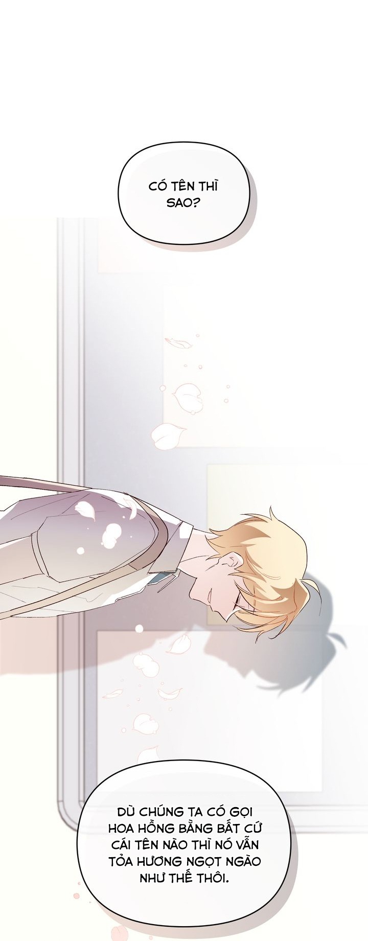 juliet, chúng ta không phải ở kansas đâu! chapter 3 18