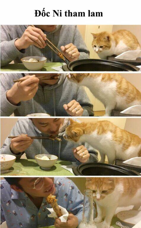 đại thánh và tiểu yêu chapter 71 12