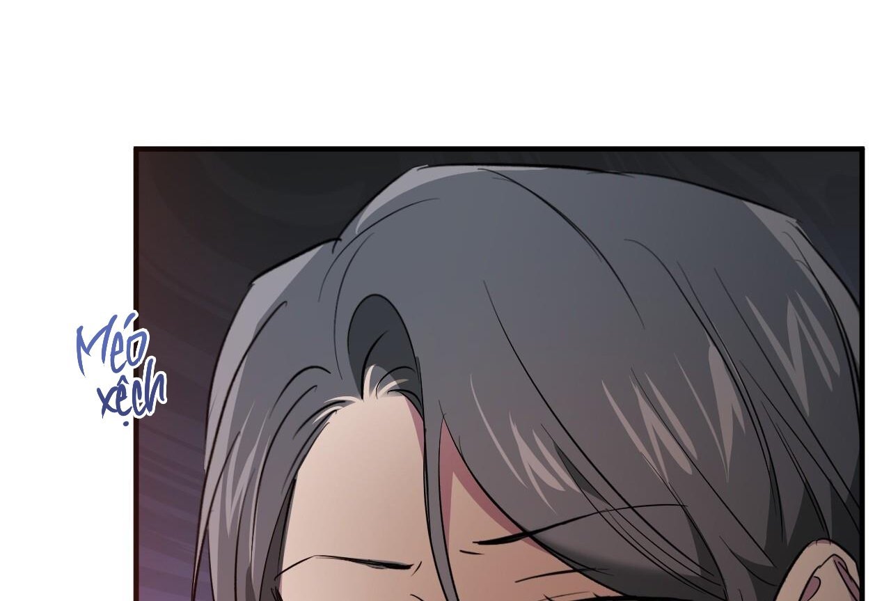 những chú thỏ của hapypy chapter 65 146