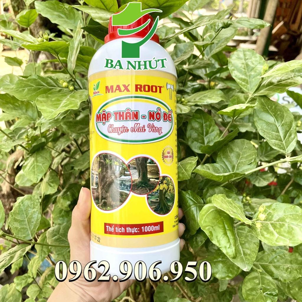 Bộ 2 Sản Phẩm BUNG ĐỌT RA RỄ + MẬP THÂN NỞ ĐẾ Dành Cho Mai Vàng