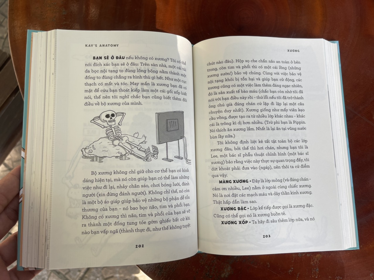 KAY'S ANATOMY - GIẢI PHẪU CƠ THỂ NGƯỜI – cuốn sách cực ngầu về giải phẫu cơ thể - NXB Kim Đồng – bìa cứng tranh minh họa