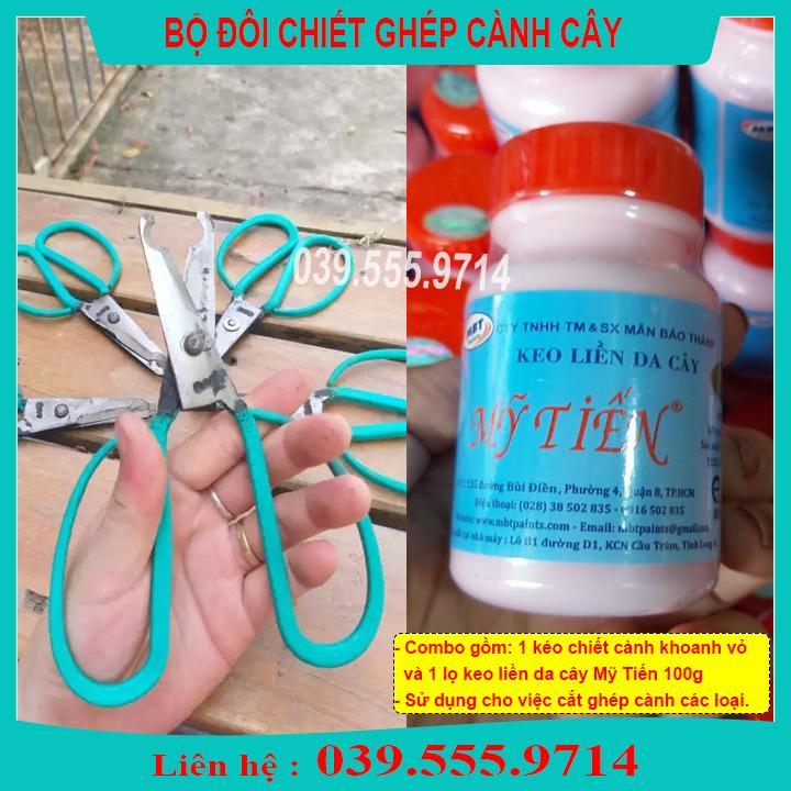BỘ ĐÔI CHIẾT GHÉP CÀNH CÂY GIÚP LIỀN SẸO