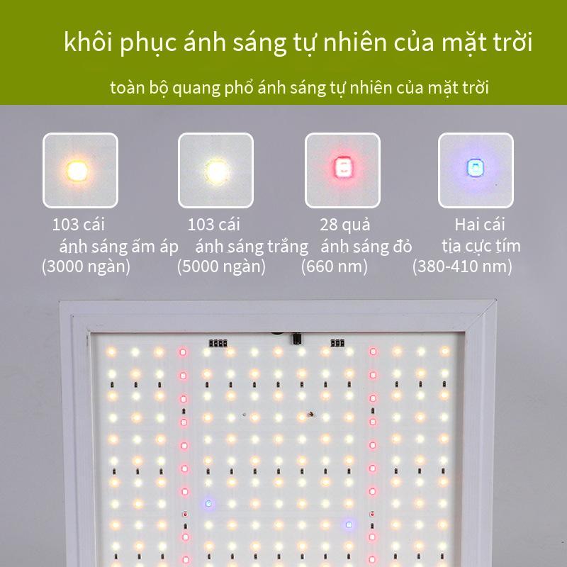 Giao hàng nhanh đèn LED công suất cao ánh sáng nhà máy bảng lượng tử toàn phổ thời gian làm mờ điều chỉnh thông minh ánh sáng lấp đầy mọng nước ánh sáng nhà máy
