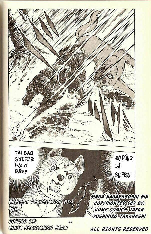 chú chó có nghĩa - ginga nagareboshi gin chapter 13 18