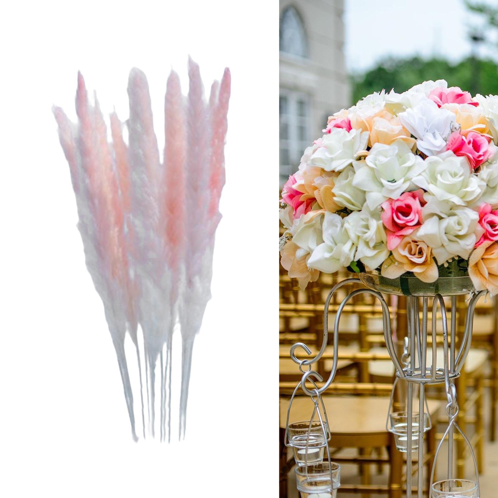 Natural Dried Pampas Grass Boho Home Decor Flower Arrangement Dried Reed Phragmites Decoration