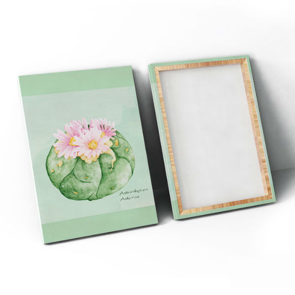 Bộ 3 Tranh Ép Gỗ MDF Treo Quán Cà Phê "Xương Rồng" W102