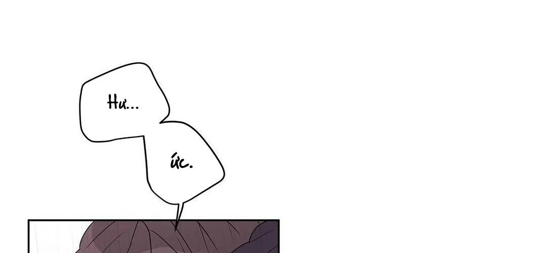 guide cấp b chapter 22 16