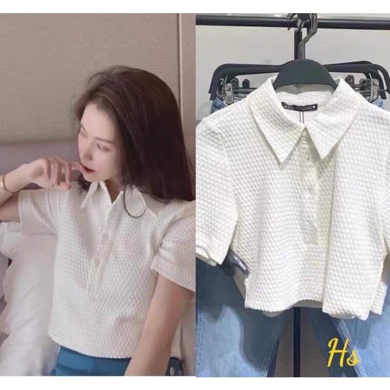 Áo croptop cổ bẻ chất tổ ong HS6