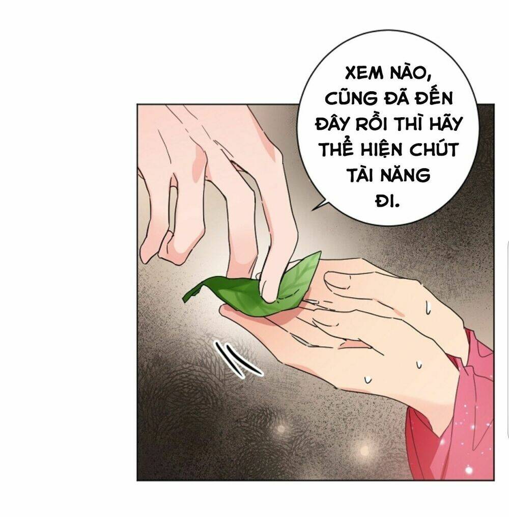 chae hong sa chapter 43 34