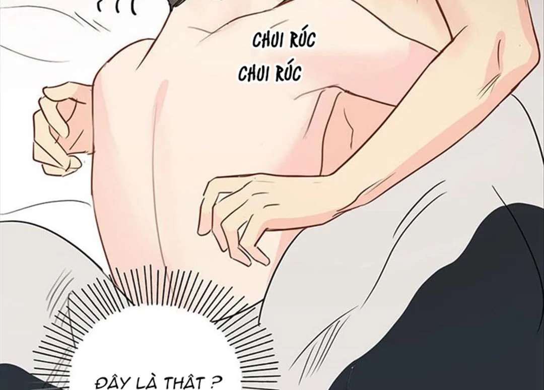 chuyện quái gì với giấc mơ đó vậy chapter 31 178