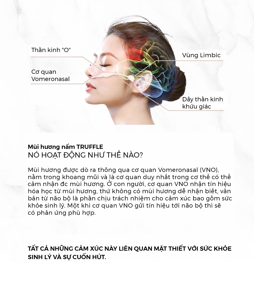 Sữa tắm cao cấp OH OPPA Hương Hoa Cúc La Mã Quyến Rũ cấp ẩm cho da, tạo độ đàn hồi, làm trẻ hóa làn da, mùi hương thu hút
