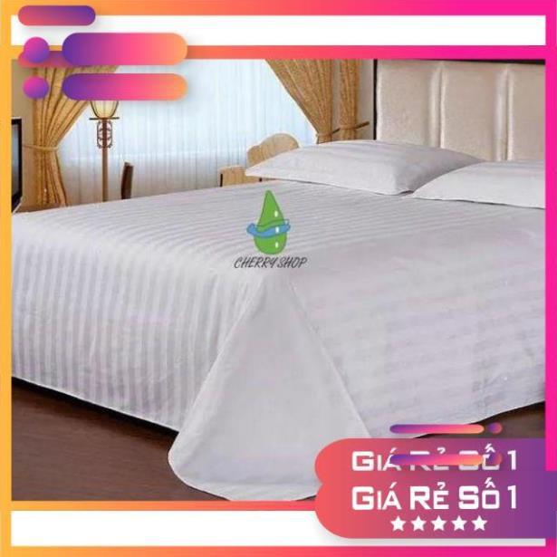Bộ drap cotton sọc cho khách sạn