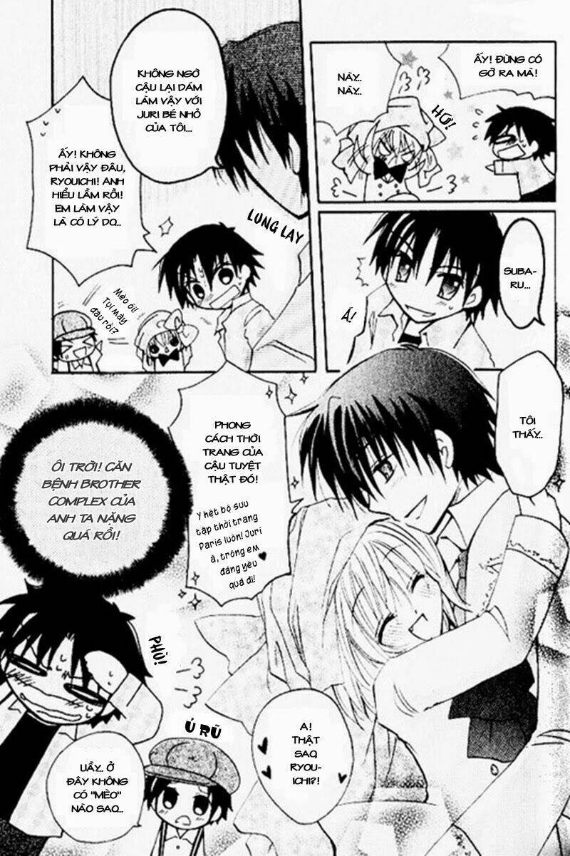 boku x neko? chapter 4 17