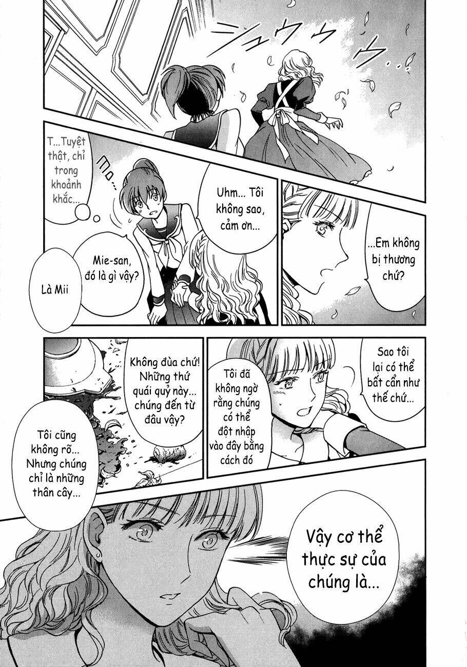 áo giáp vàng: nữ thánh đấu sĩ chapter 3 8