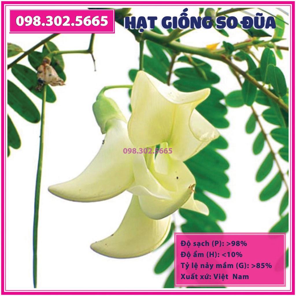 Gói 100 g Hạt giống cây so đũa tứ quý thái