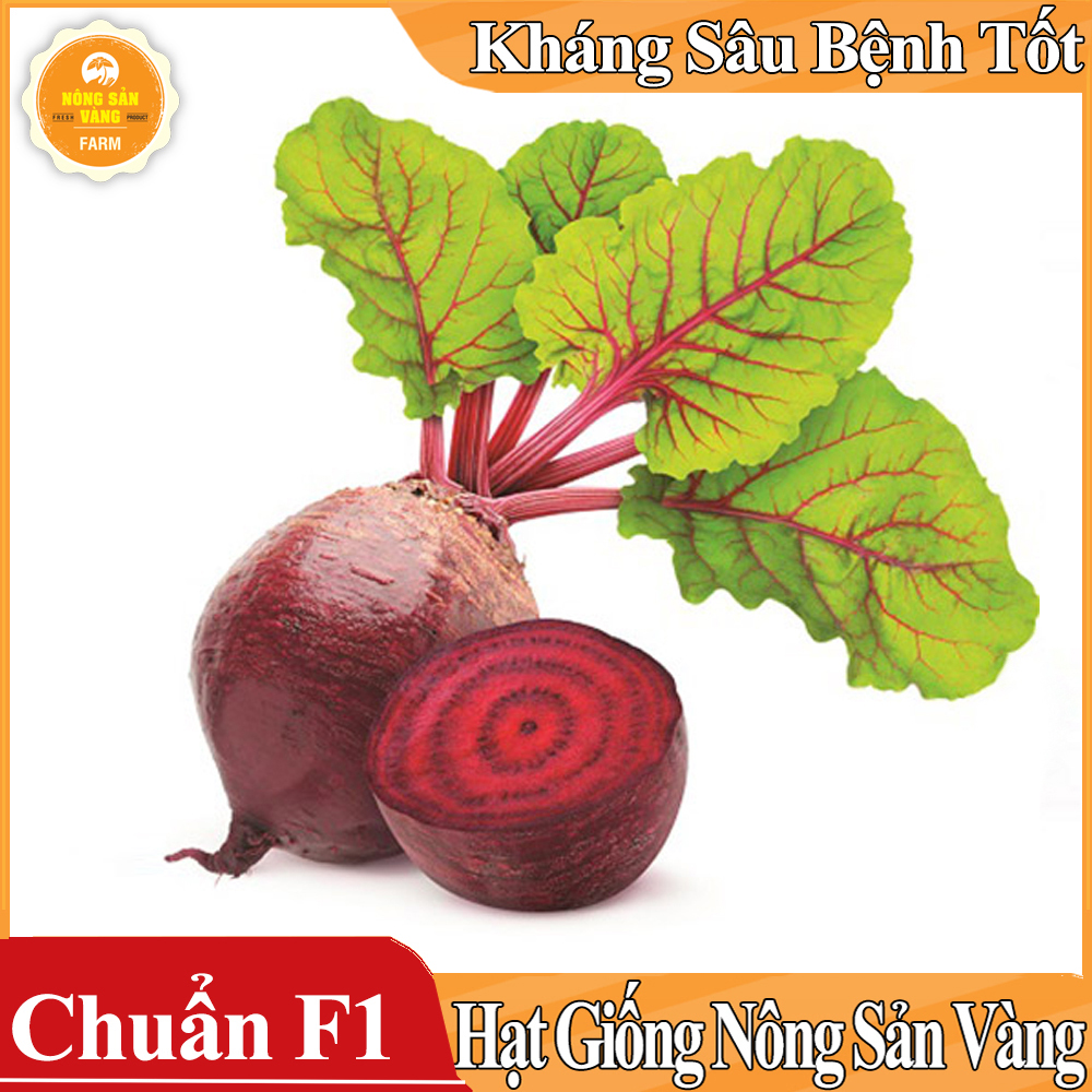 Hạt giống Củ Dền Đỏ ( Gói 5 Gram ) - Nông Sản Vàng