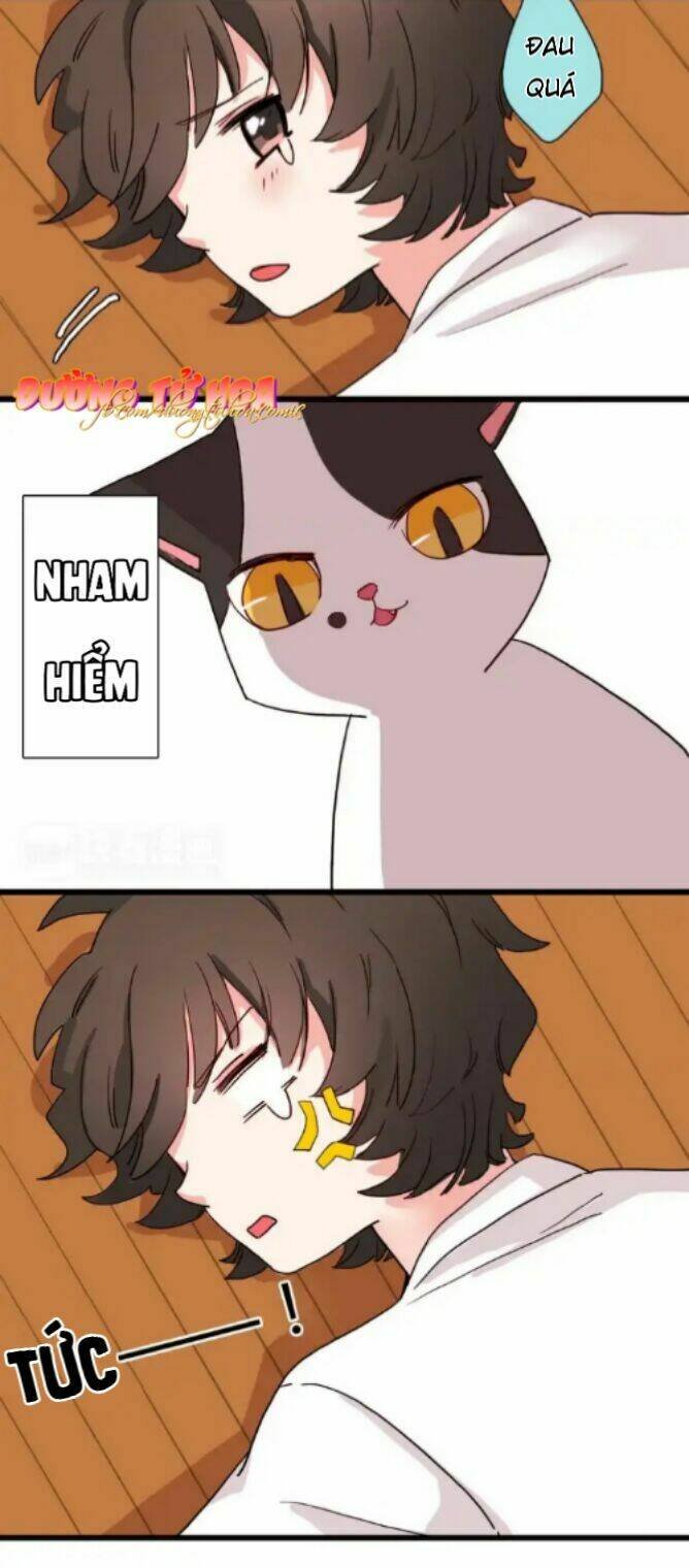 gấu nhỏ dư và thỏ thỏ hứa chapter 14 33