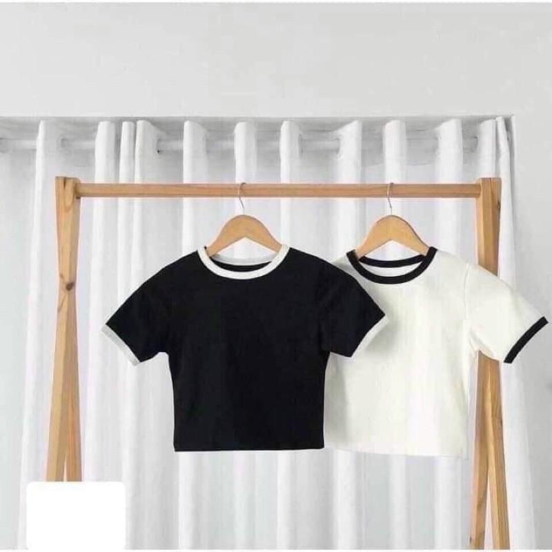 ÁO CROPTOP TRẮNG ĐEN - BODY NỮ CỔ TRÒN THUN GÂN