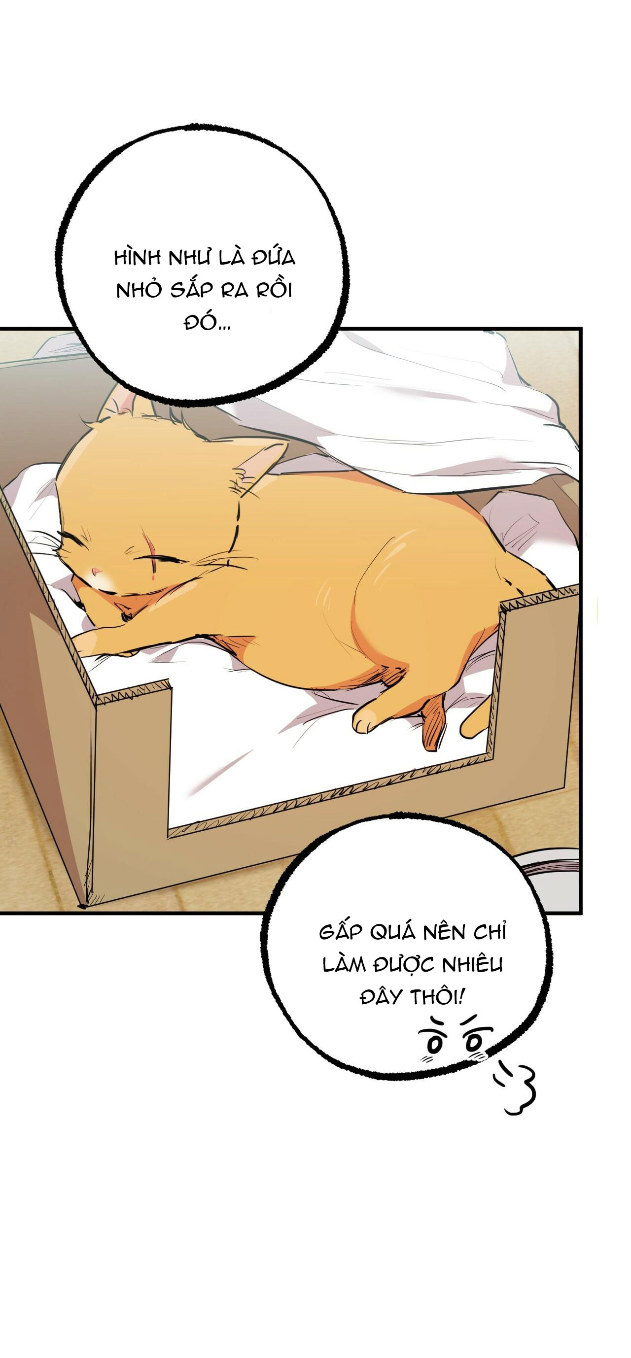 những chú thỏ của hapypy chapter 31 15