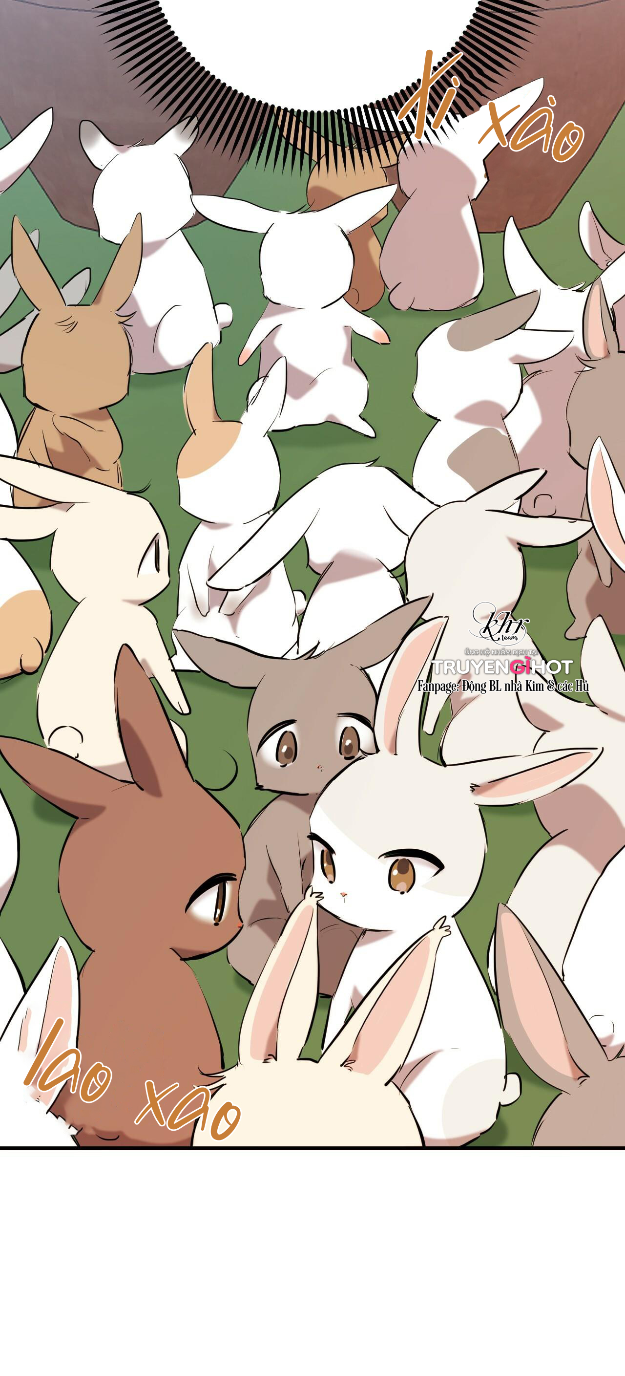 những chú thỏ của hapypy chapter 39 22