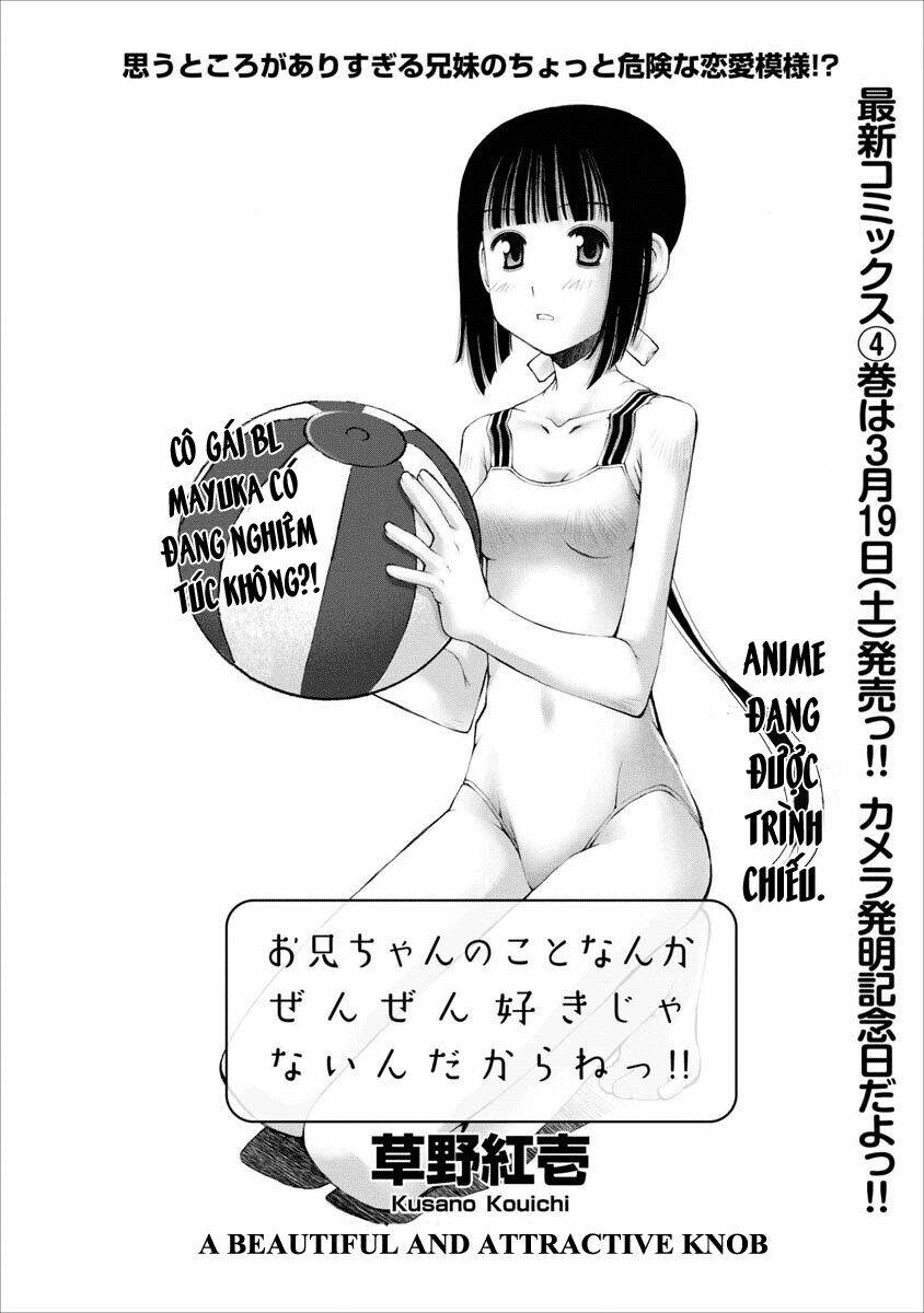 oniichan no koto nanka zenzen suki ja nai n da kara ne!! chapter 29 7