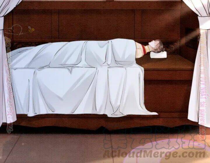 trọng sinh bá sủng nhiếp chính vương quá mạnh mẽ chapter 218 47