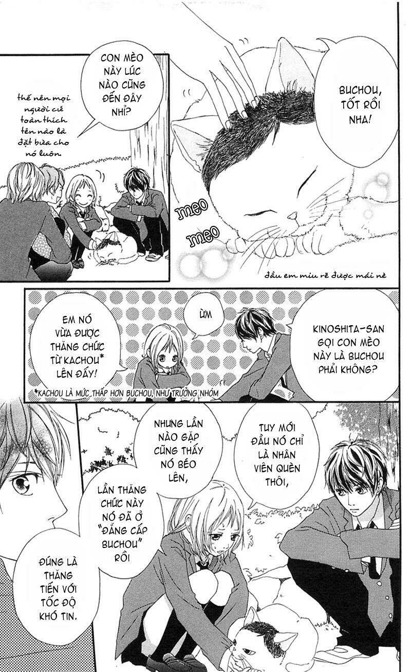 tình yêu học trò chapter 11 7