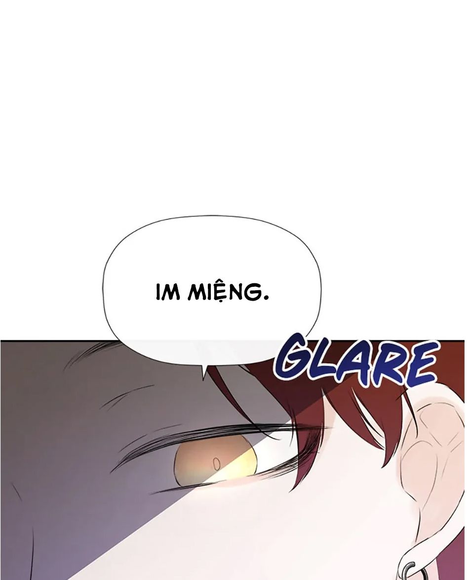 tôi biết bí mật của nam phụ chapter 45 40