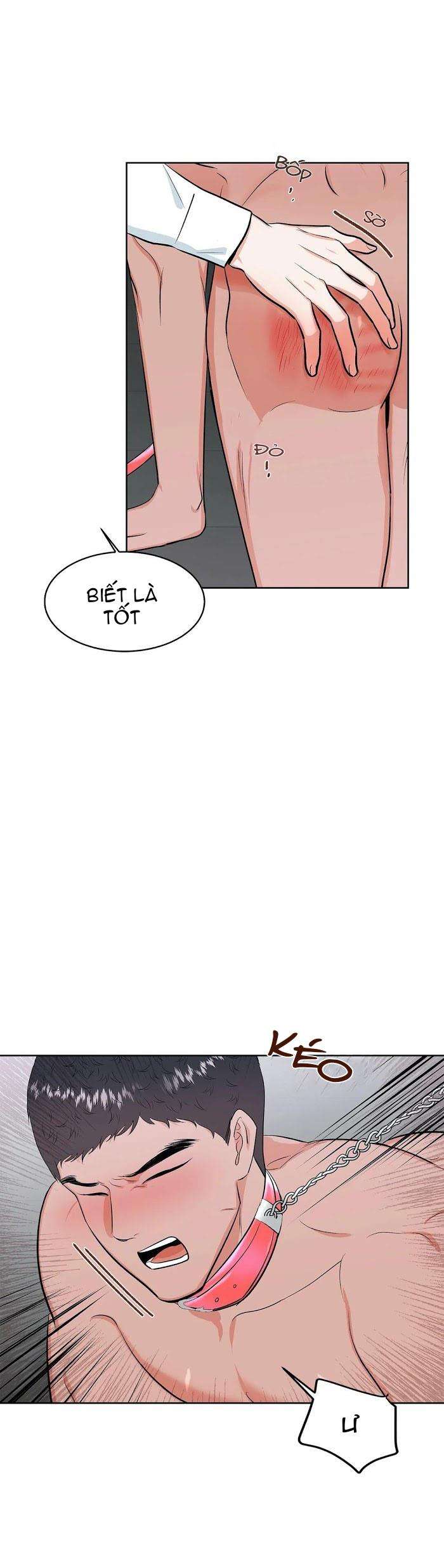 thầy giáo thể dục m chapter 11.2 12